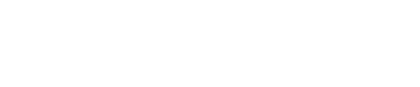 logo_polynova4